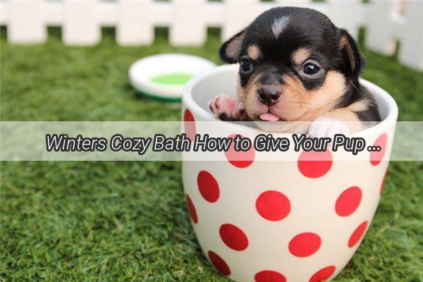 Winters Cozy Bath How to Give Your Pup a Delightful Soak Without the Chill